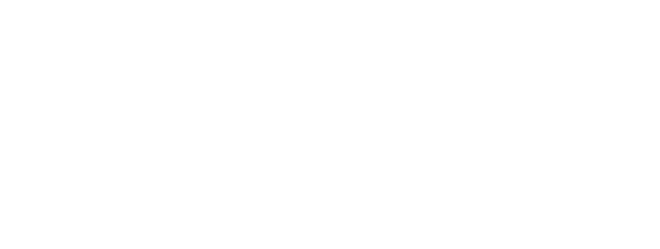 IAEN - Instituto de Altos Estudios en Neurodiversidad